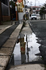 雨上がりの道端