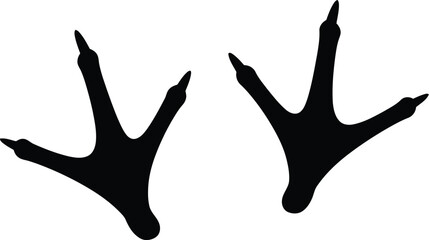 Obraz premium Webbed Footprints Bird Duck Goose Track Silhouette