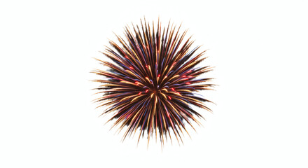 Colorful fireworks display against a white background.