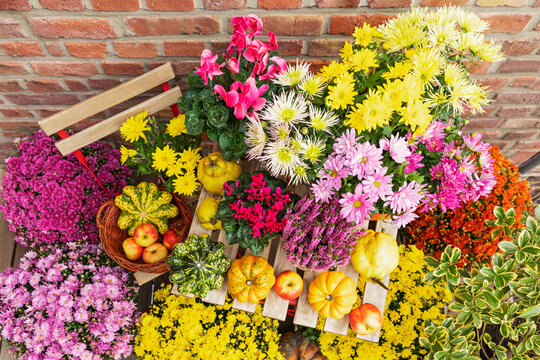 Autumn flowers and fruits arranged on a balcony