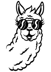Llama