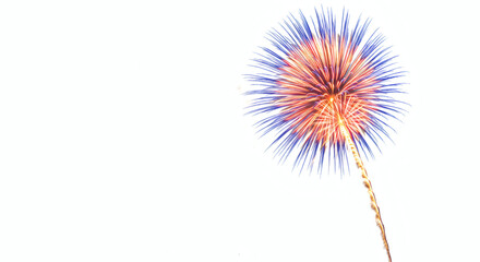 Fireworks display against a white background.