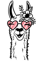 Llama