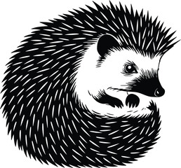 Cute Hedgehog Spiny Animal Detailed Illustration