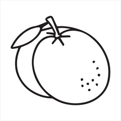 illustration of two orange fruit on white background