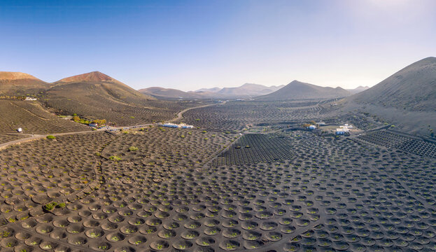 Spain, Canary Islands, Aerial view of volcanic vineyard on Lanzarote island