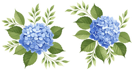 Elegant Blue Hydrangea Blossoms. Realistic Watercolor Floral Design Perfect for Wedding Invitations, Greeting Cards, or Decorative Borders.