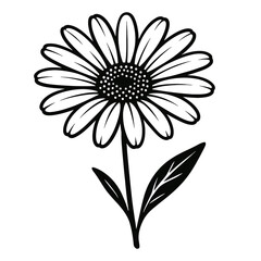 Black and White Daisy Flower - Simple Botanical Graphic Design