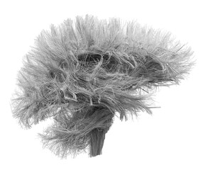 Brain tractography visualization in grayscale.