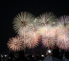 Spectacular Fireworks Light Up the Night Sky In Busan, Korea.