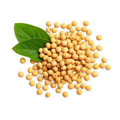 Scattered Soybean Seeds with Single Soy Leaf, Isolated on transparent Background