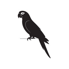 Fototapeta premium Black Parrot or Macaw Bird Silhouette Perched - Tropical Avian Vector Illustration for Pet, Wildlife, and Exotic Designs