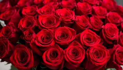 Close-up of many deep red roses