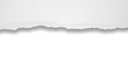 Torn white paper strip with a shadow isolated on white background