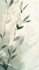 Elegant bamboo leaves silhouette against soft light background