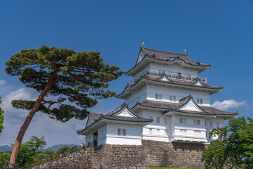 小田原城 本丸天守閣