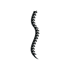 Backbone Illustration