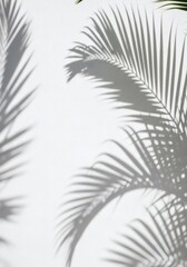 Shadows of palm fronds cast on a bright white wall, creating an abstract and minimalist tropical pattern.