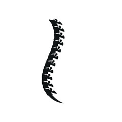 Backbone Illustration