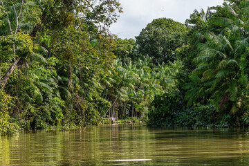 River boat tour on the Guama River at Belem do Para, a city on the north area of Brazil.