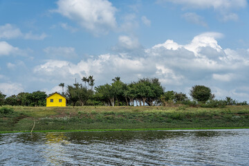 Boot trip on the Jari Canal at Alter do Chao, Santarem District, Para State, Brazil. Natural...