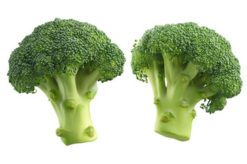 Two fresh broccoli heads, vibrant green, close-up