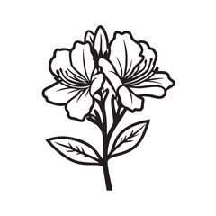Obraz premium Elegant flower sketch for design and artistic projects