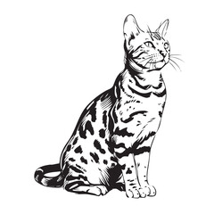 Fototapeta premium Elegant sitting cat illustration with distinctive spots for decor