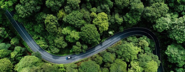 A stunning aerial view shows a winding road in a dense forest