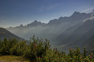 Sunny summer view of Mont Blanc massif with green alpine meadows and forest in French Alps