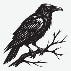 Fototapeta premium Black raven perched on bare branch crow bird