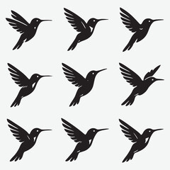 Hummingbird silhouettes in flight flying black