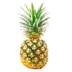 Single pineapple, vibrant yellow and green.  Fresh tropical fruit,  isolated against black
