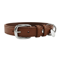 Brown leather belt with metal buckle representing fashion accessory waist clothing strap or men&rsquo;s apparel component


