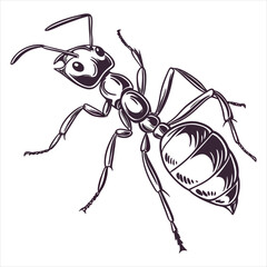 Ant Vector 