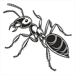 Ant Vector 