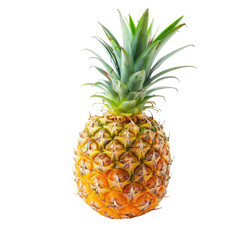 Single pineapple, vibrant yellow-gold rind, sharp green leaves