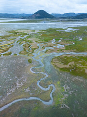 Aerial view from a drone of the low tide landscape in Santoña, in the marshes of the Santoña, Victoria, and Joyel Marshes Natural Park. Cantabrian Sea. Cantabria. Spain. Europe.