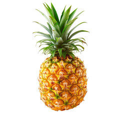 Single pineapple, bright yellow skin, sharp green leaves