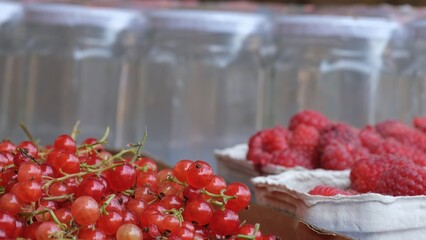 Red currants and raspberries in front of jam jars 