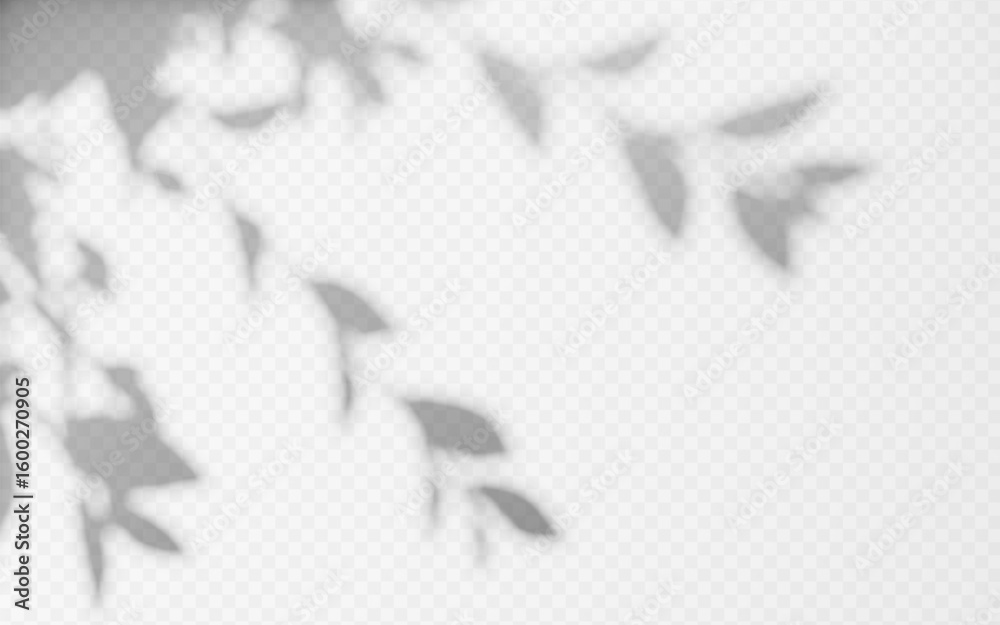 Wall mural abstract shadow overlay from foliage tree branch on a transparent background.