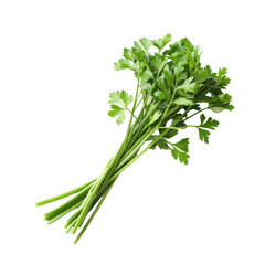 Fresh parsley bunch, bright green, vibrant, isolated on black