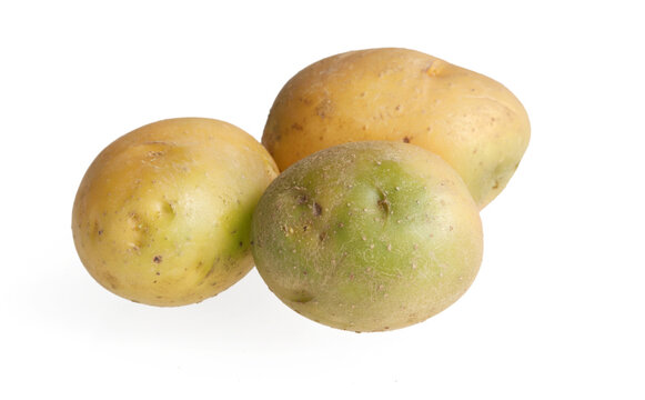 Green potatoes containing solanine are poisonous - food safty issue
