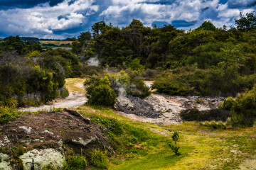 A steamy geothermal trail winds through the lush volcanic landscape of Rotorua, New Zealand, with rising steam hinting at the Earth's hidden power beneath the surface