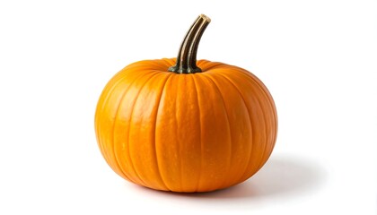 Single orange pumpkin on white background (3)