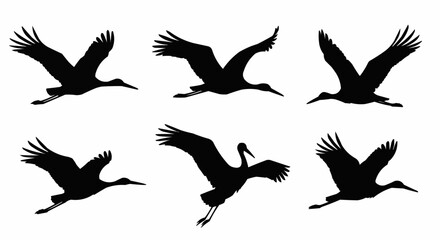 Obraz premium Flying Stork Silhouettes
