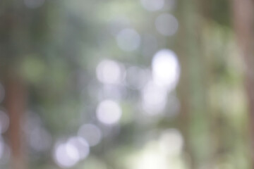 blurred bokeh background