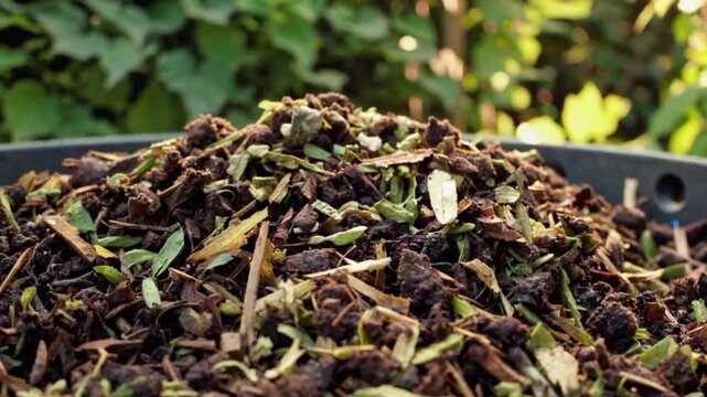 Compost pit with organic waste in garden