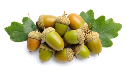 A cluster of acorns atop a white surface.  Green leaves adorn the image