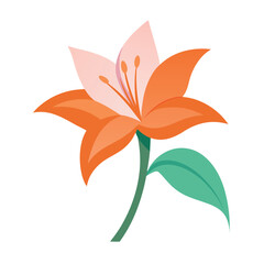 Stylized Orange Lily Flower Illustration with Green Stem and Leaf on White Background